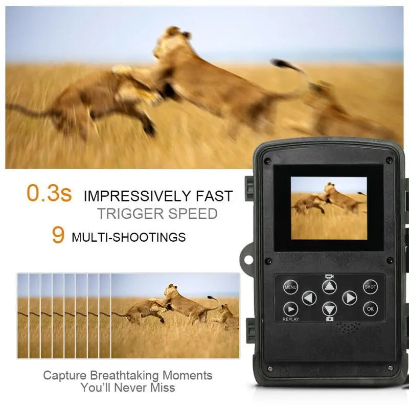 HD Recording Hunting Trail Camera